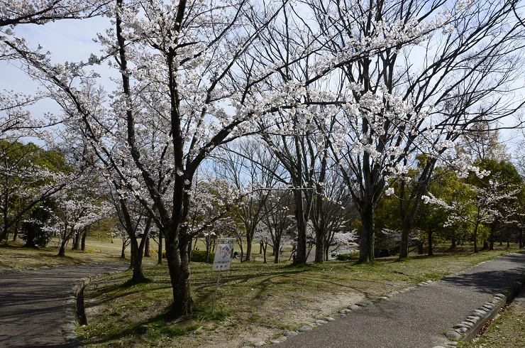 鹿ノ台中央公園の写真