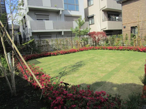 北小岩いこいのひろばの写真