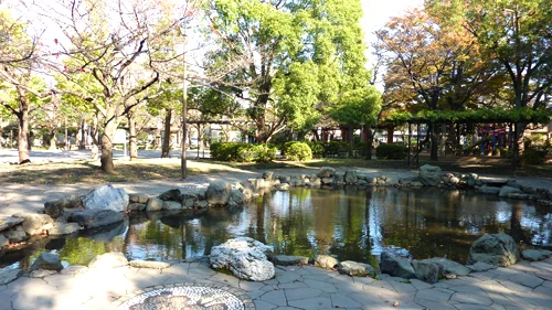 中央森林公園の写真