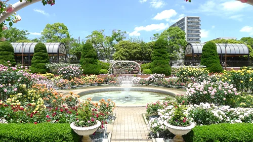 総合レクリエーション公園(フラワーガーデン)の写真