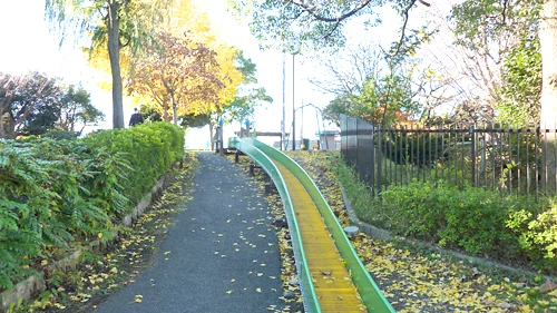 当代橋公園の写真