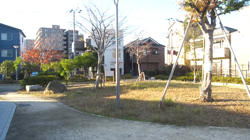 一之江しいのき公園の写真
