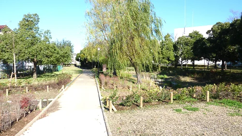 江戸川一丁目第二児童遊園の写真