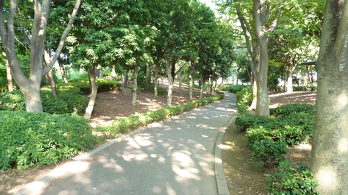 清新町北緑地の写真
