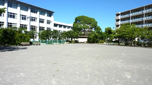 南葛西五丁目児童遊園の写真