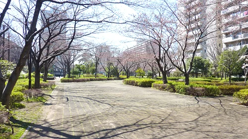 大島小松川公園(季節の広場)の写真