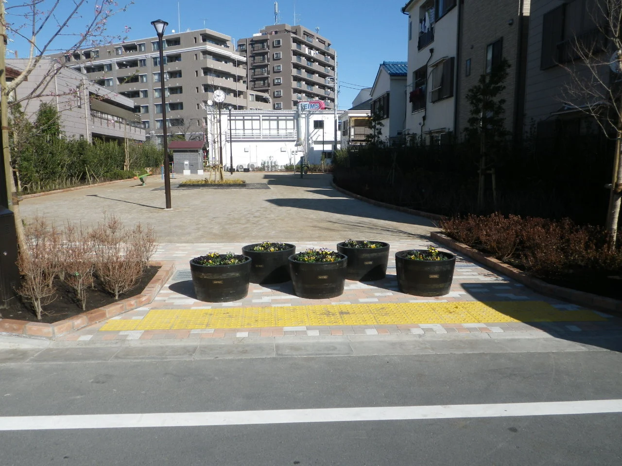 春江ゆりのきひろばの写真