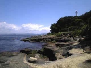 観音崎公園の写真