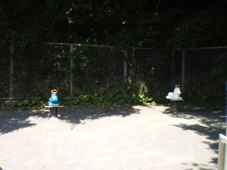 第一運動公園の写真