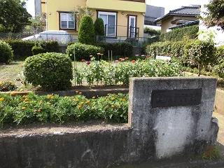引地東公園の写真