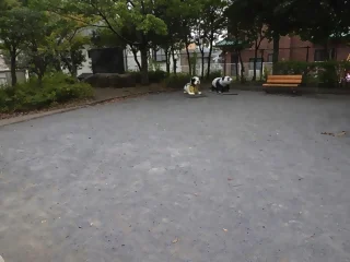 国分第一児童公園の写真