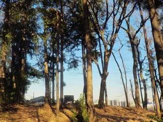 かしわ台児童公園の写真