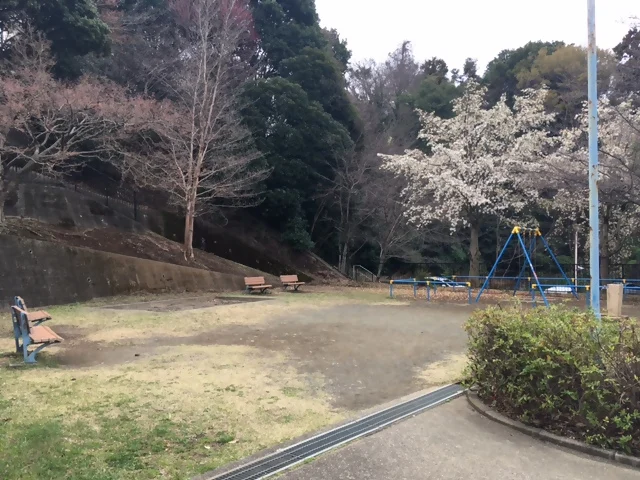 国分緑地公園(わんぱく公園)の写真