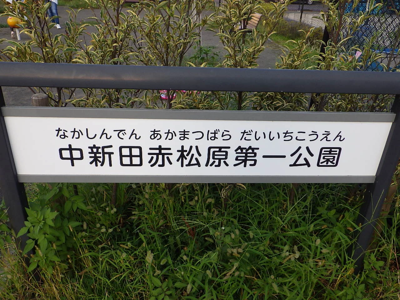 緑ケ丘第１公園の写真