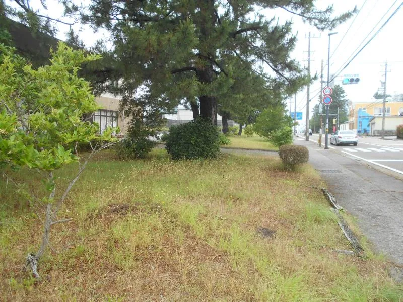 粟崎町５丁目緑地の写真