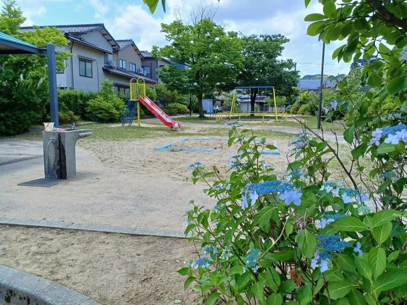 円光寺あじさい公園の写真