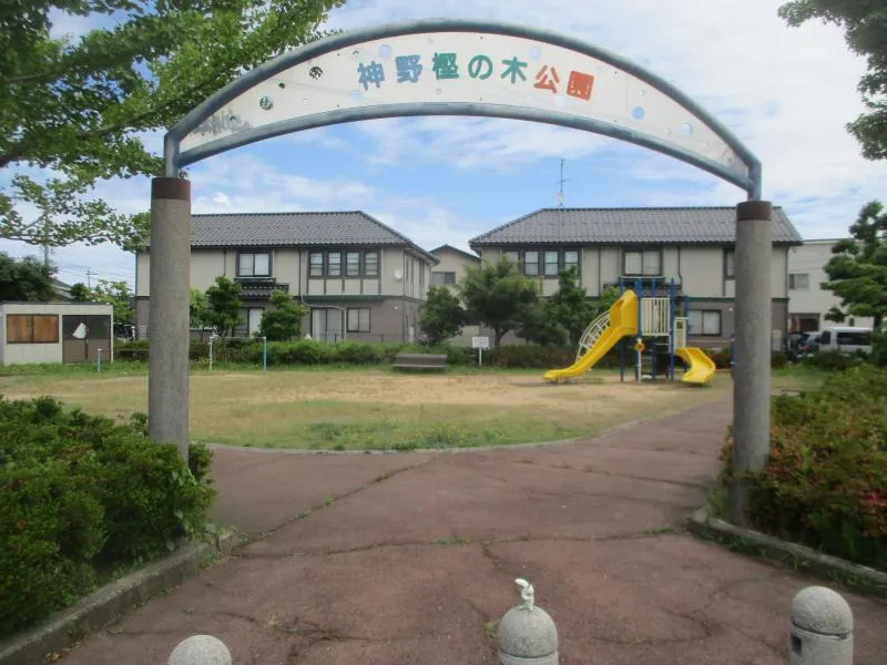 神野樫の木公園の写真