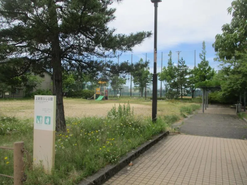 上安原ふじ公園の写真