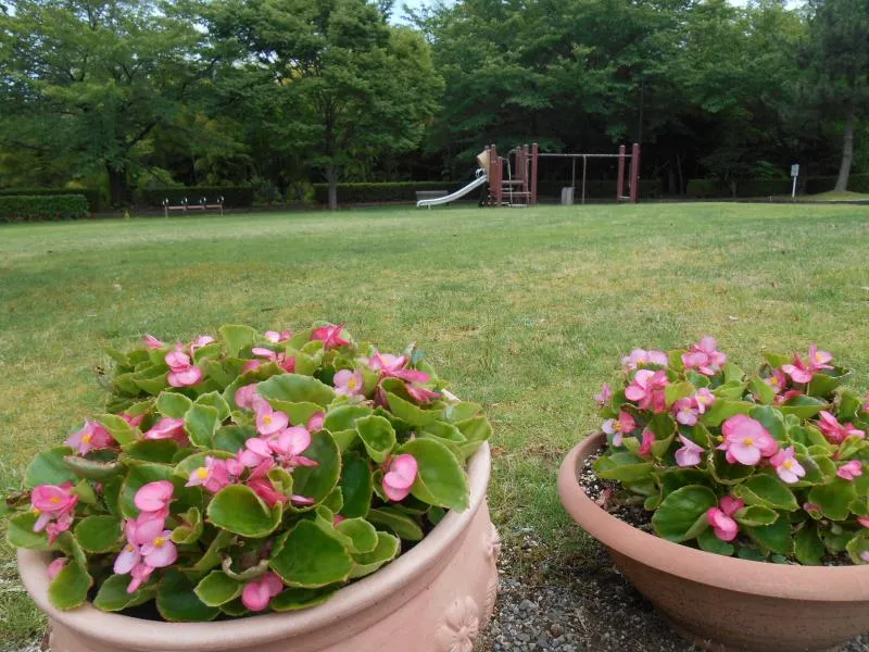 子来町さくら公園の写真