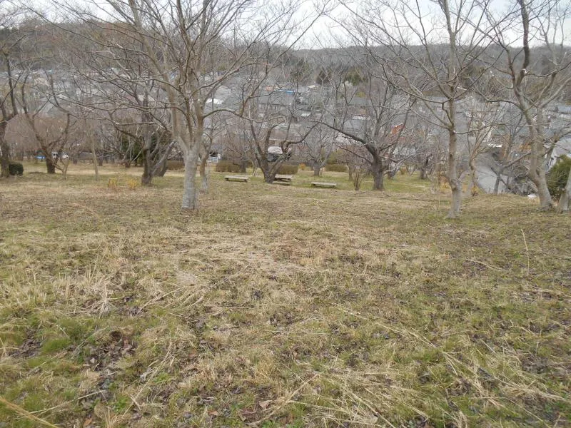 御所さくら公園の写真