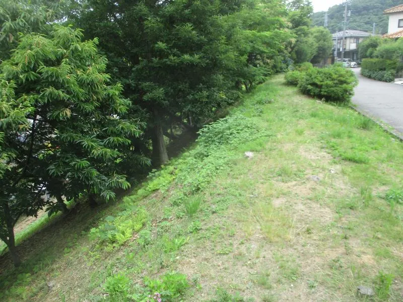 鈴見台中央第１緑地の写真