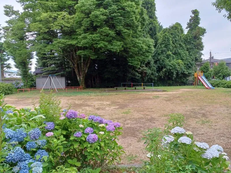 菫児童公園の写真