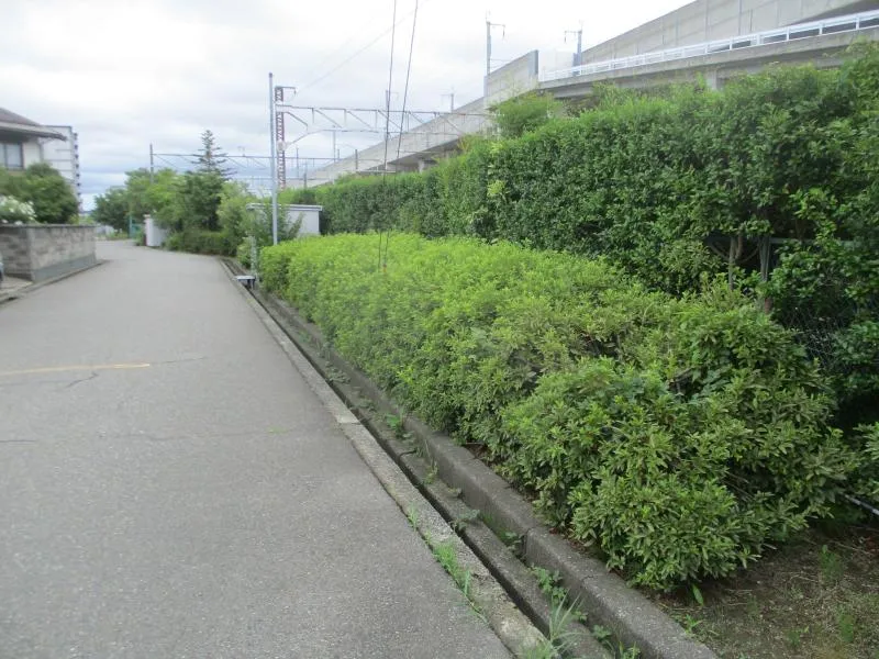 西金沢２丁目小緑地の写真