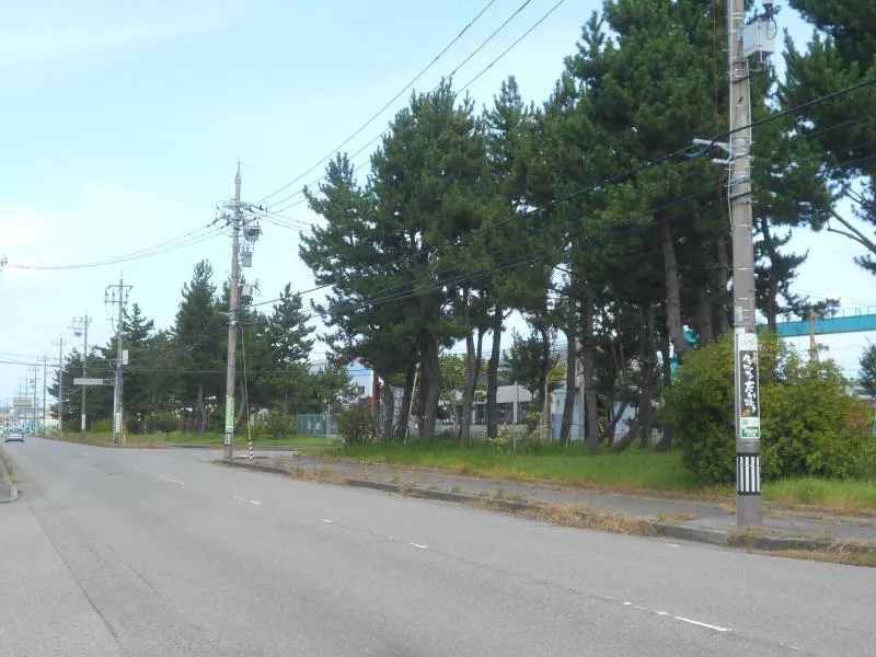 東蚊爪町１丁目緑地の写真