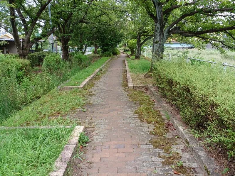 横川２丁目小公園の写真