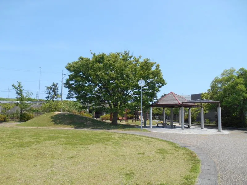 横枕はすの里公園の写真