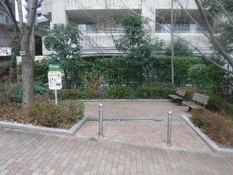 明治坂緑地の写真