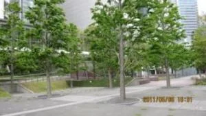 杜の公園の写真