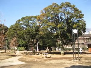 白金台どんぐり児童遊園の写真
