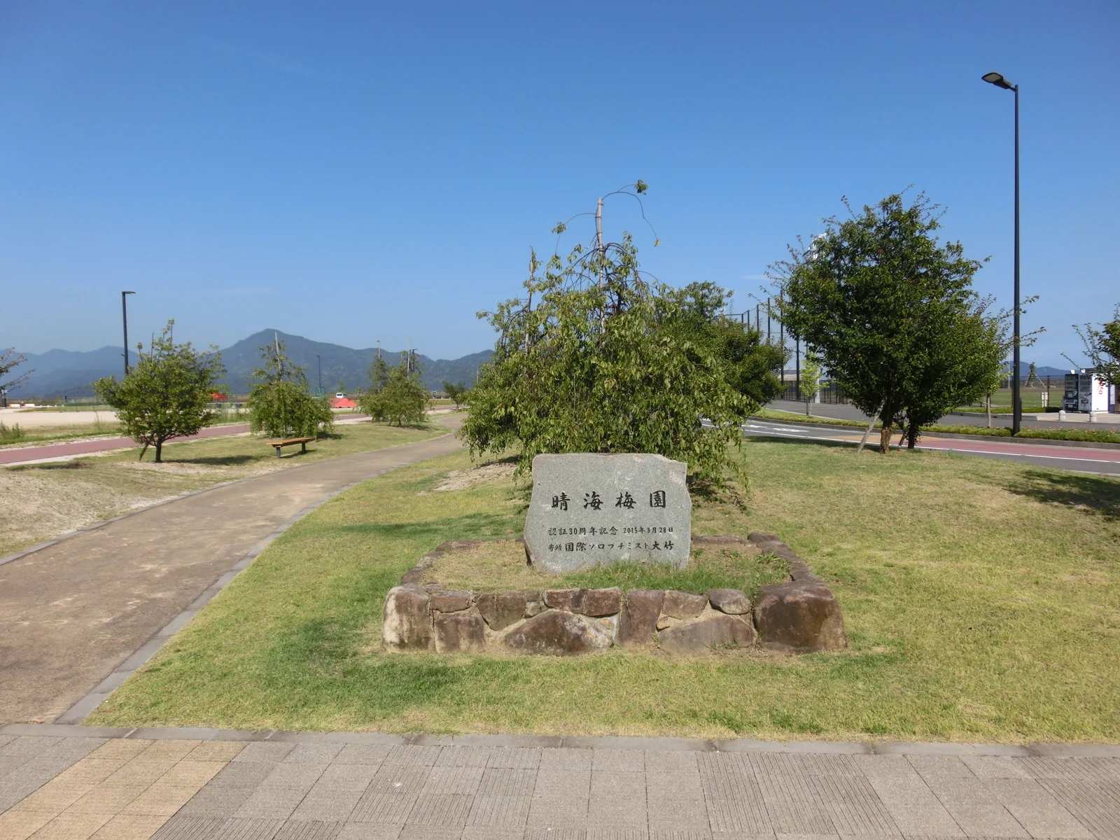 晴海臨海公園の写真