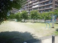 中田中河原公園の写真