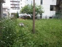 国分町三丁目北公園の写真