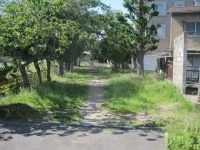 広瀬公園の写真