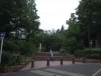 錦町公園の写真