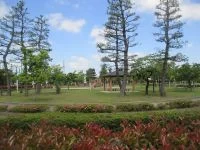 南小泉公園の写真