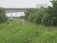 七北田川鶴巻緑地の写真
