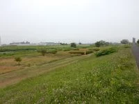広瀬川八本松緑地の写真