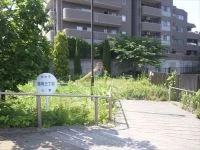 国見三丁目公園の写真