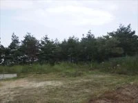 国見ヶ丘６号緑地の写真