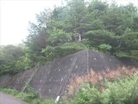 南吉成３号緑地の写真