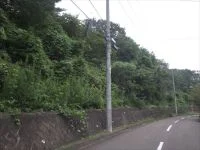 中山台３号緑地の写真