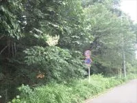 中山台４号緑地の写真