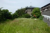 みずほ台北公園の写真