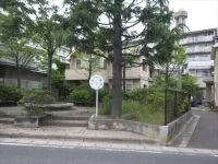 台原五丁目公園の写真