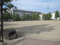 栄公園の写真