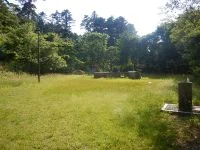 向山公園の写真